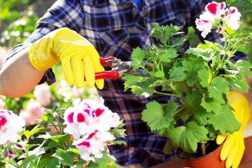 Gardeners Chessington maintaining a healthy front garden