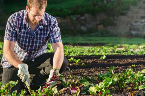 Gardener carrying out a safe site check before work begins
