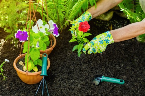 Professional gardening services in Chessington for tidy and healthy gardens