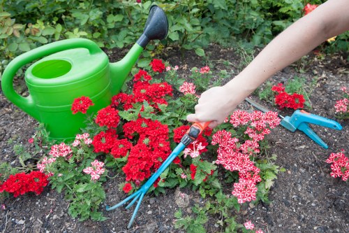Accessibility-focused illustration for Chessington gardening services