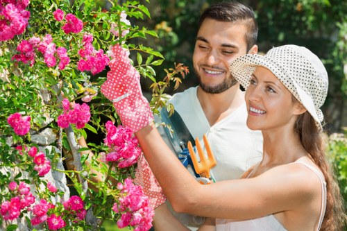 Local garden maintenance and lawn care in Chessington