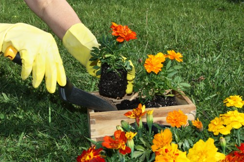 Zero-tolerance policy and ethical gardening compliance