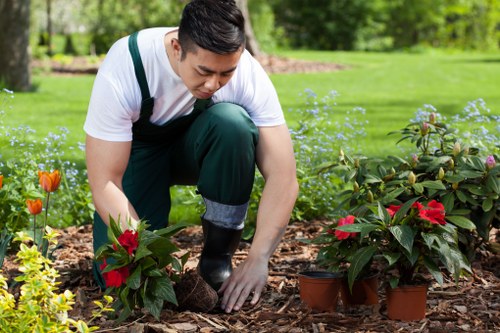 Professional patio cleaning removing moss and grime in Chessington