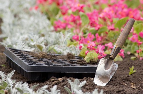 Summer garden upkeep in Chessington with tidy planting and lawn