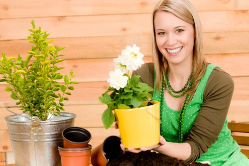 Autumn garden maintenance in Chessington with hedge and border care