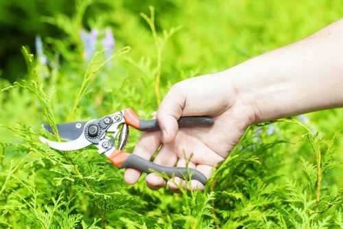 Chessington gardening team using trained and insured safe practices