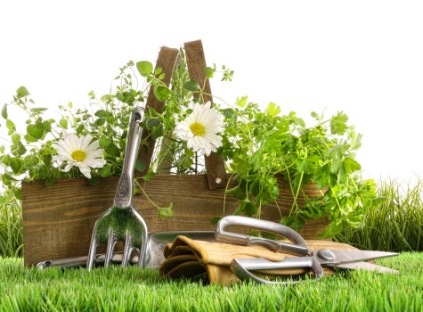 Seasonal lawn maintenance in a Chessington backyard