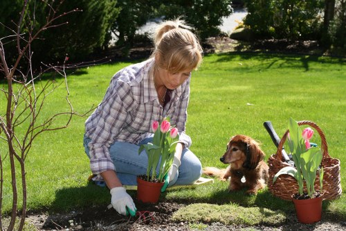 Sustainable gardening and waste separation in Chessington