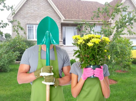 Free quote for hedge trimming and garden maintenance