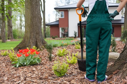 Seasonal hedge trimming in Chessington for healthy growth
