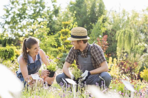 Charity reuse and donation of garden items