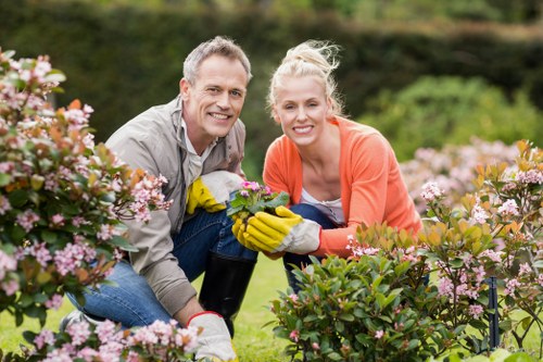 Seasonal lawn maintenance showing grass care in Chessington
