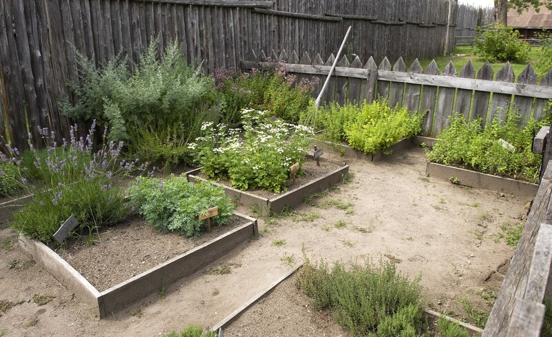 flower borders garden